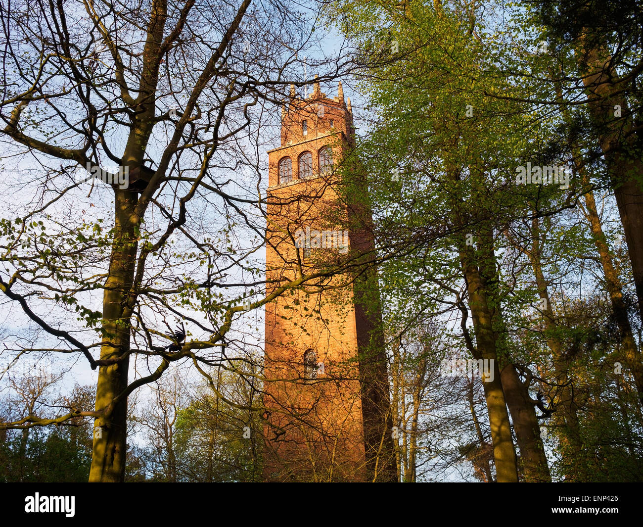 Die Torheit Turm Faringdon, Oxfordshire, Vereinigtes Königreich. Stockfoto
