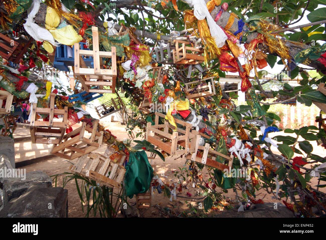 Baum an Swami Rock, an dem die Familien, die versuchen, für ein Baby, Bänder, Holz- Wiegen und andere Gaben an die Götter gehangen haben für die Fruchtbarkeit zu Fragen Stockfoto