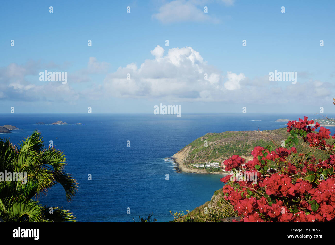 Saint-Barthélemy: das Karibische Meer und Blumen von der Spitze des Hügels im nordwestlichen Teil der Insel gesehen Stockfoto