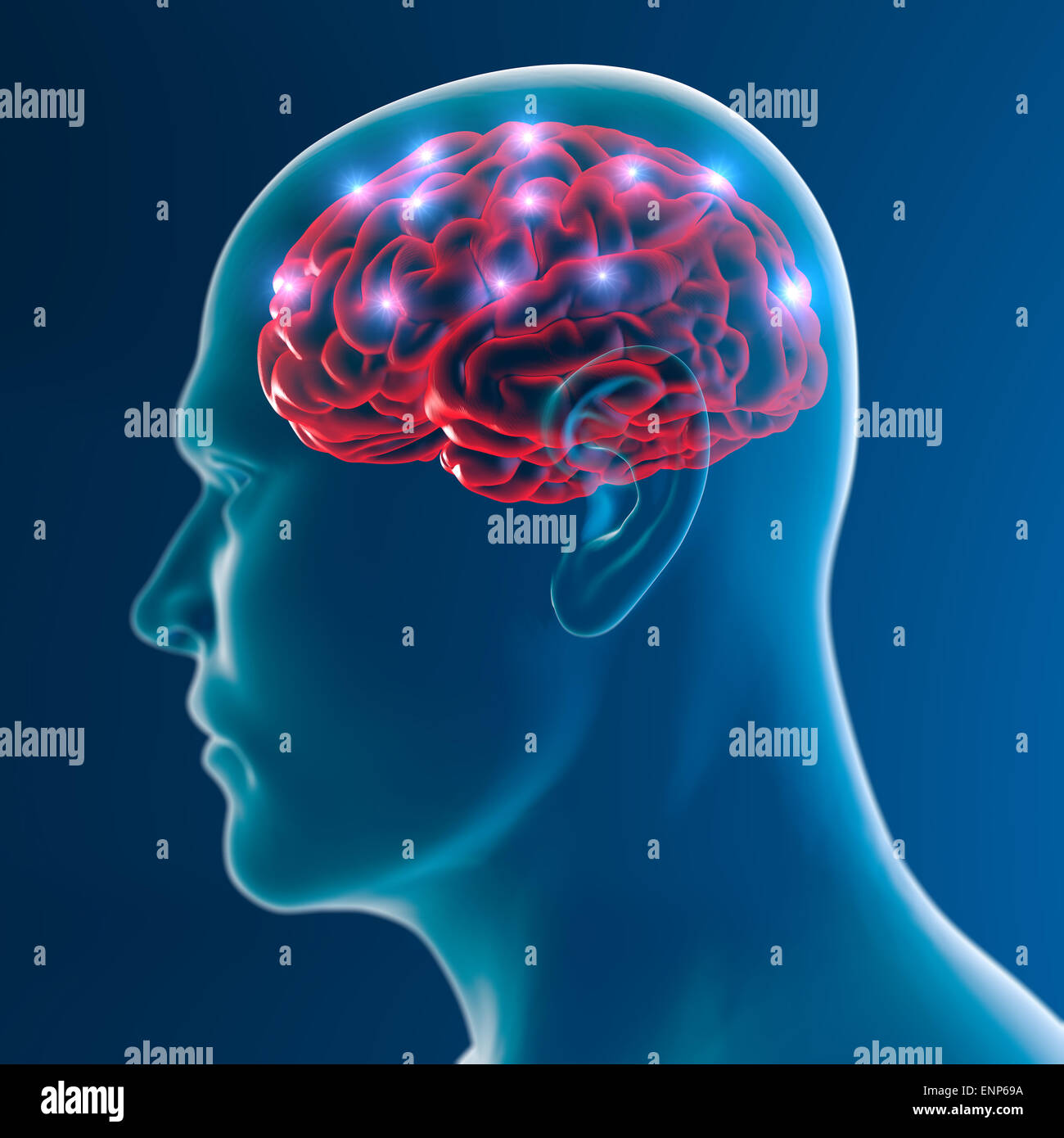 Menschliche Gehirn Neuronen Synapse auf blauem Hintergrund Stockfoto