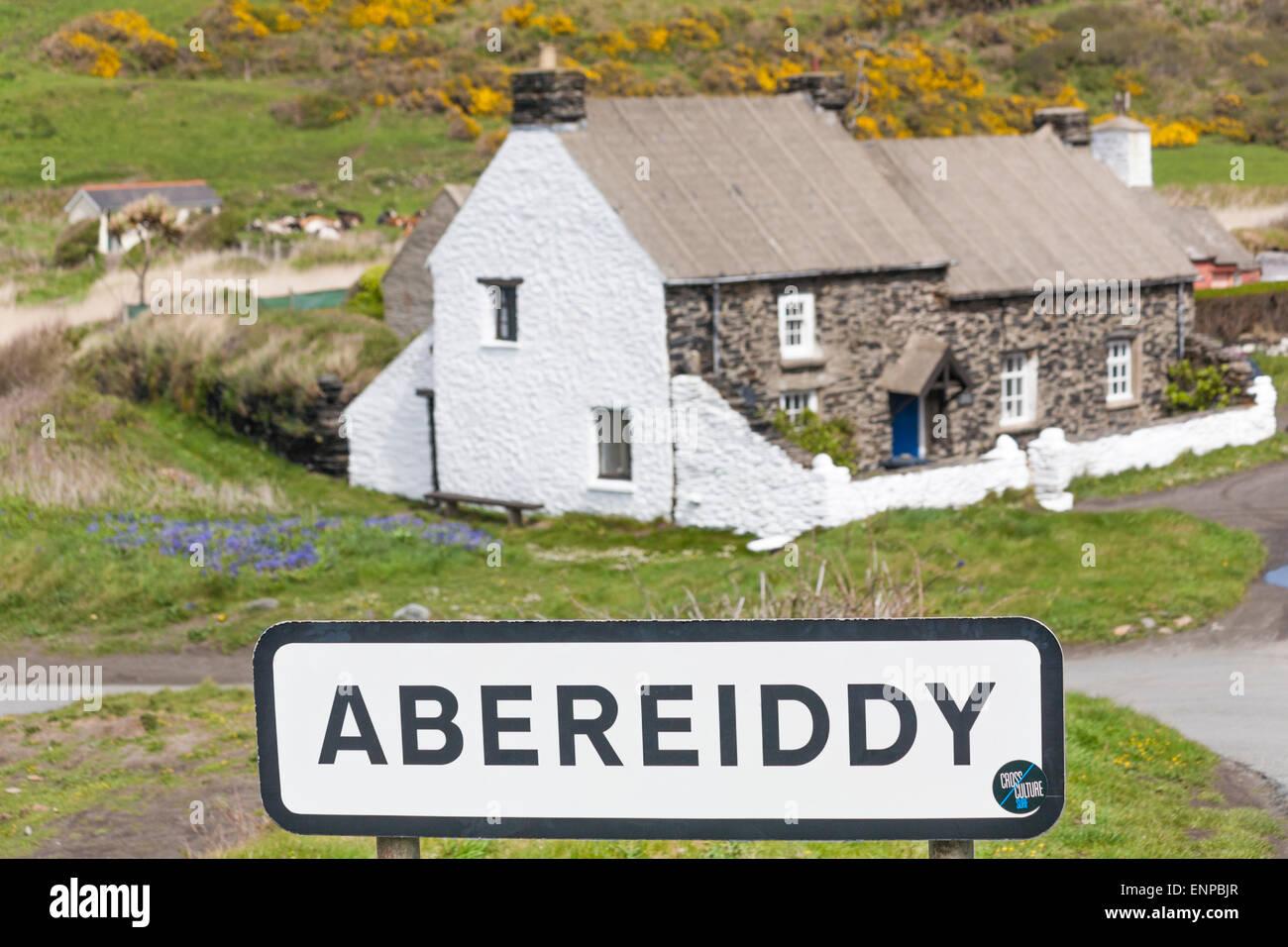 Küstenhütten in Abereiddy, Pembrokeshire Coast National Park, Wales Großbritannien im Mai - Abereiddi Stockfoto