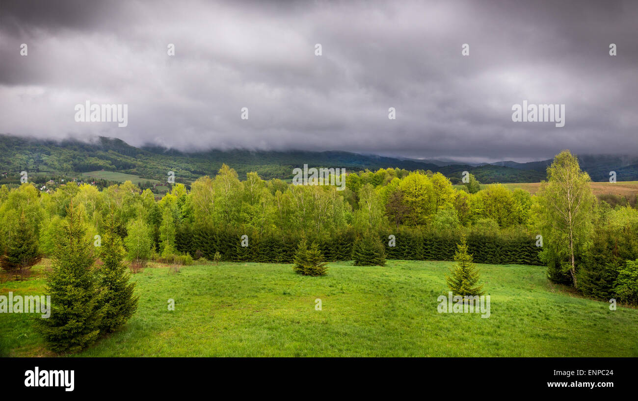 Regenwetter über Wald im Bieszczady-Gebirge, Polen Stockfoto
