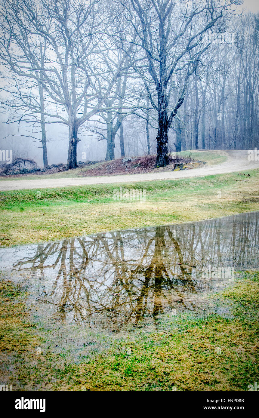 Wie der sehr leichte Regen fällt, macht es möglich für Naturen Schönheit in dieser Pfütze zu reflektieren. Stockfoto