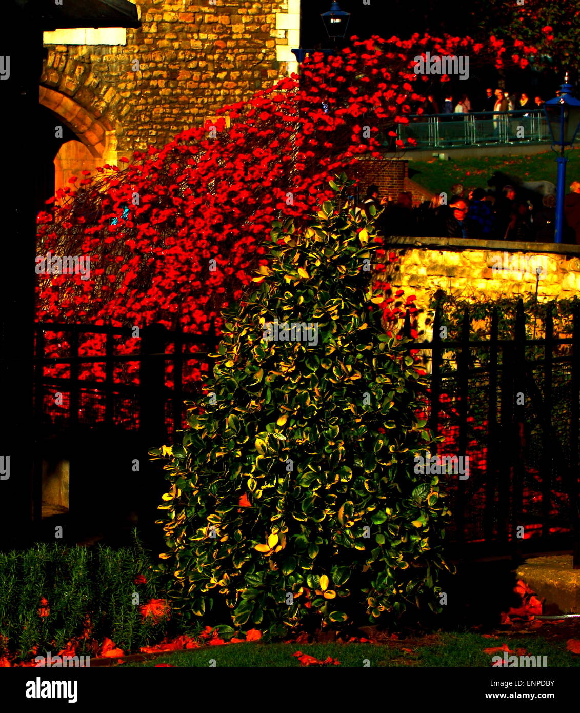 Mohnblumen im Tower of London zur Erinnerung an den Krieg tot Stockfoto