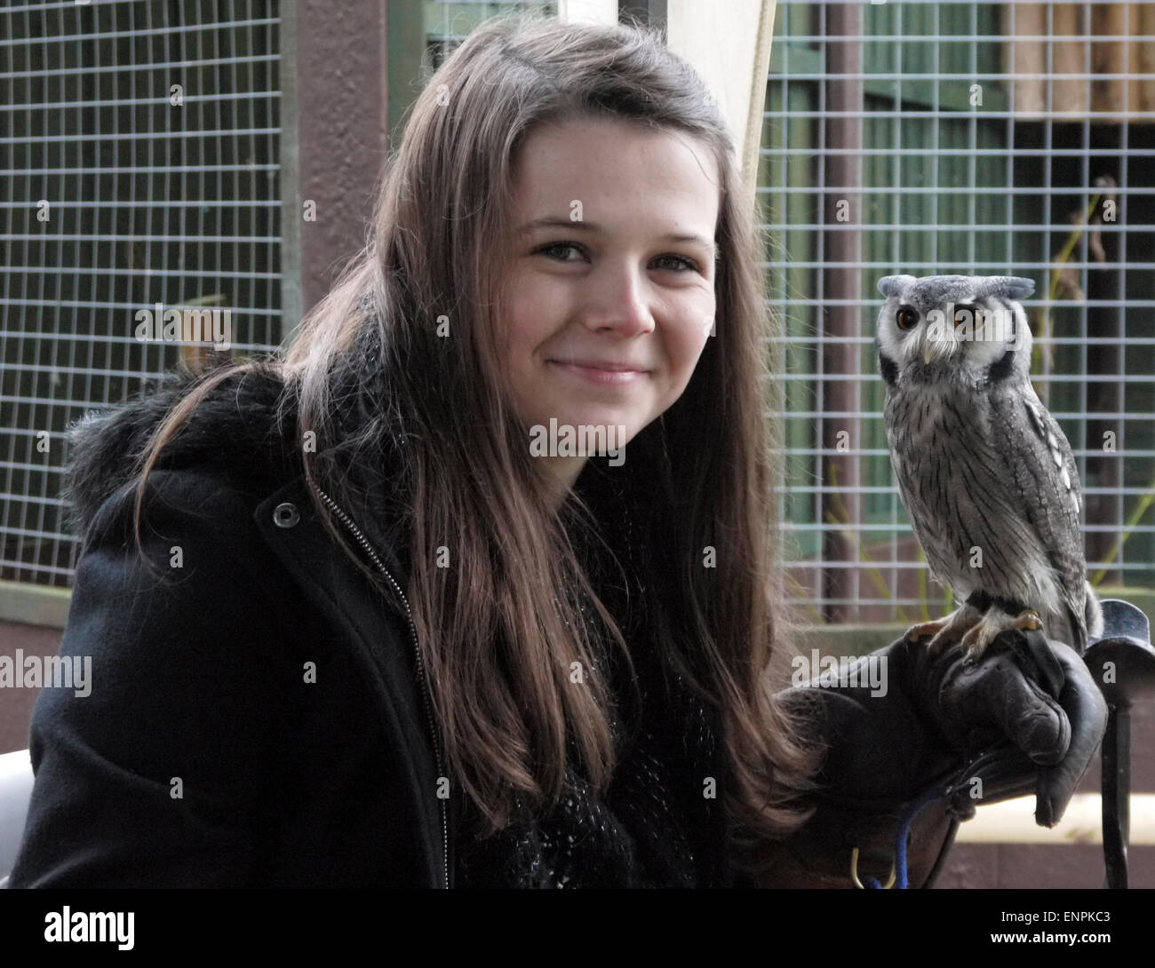 Mädchen mit einem White-faced Eule Ptilopsis Leucotis Stockfoto