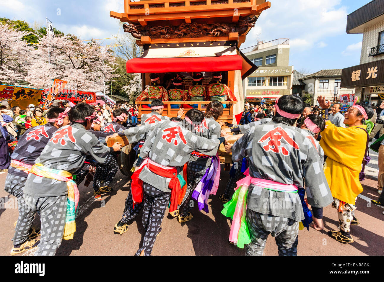 Ein Team von Männern, die sich bemühen, einen massiven Dashi, Yama, Holzwagen zu schieben, umgeben von Massen von Touristen, die das Frühlingsfest von Inuyama beobachten Stockfoto