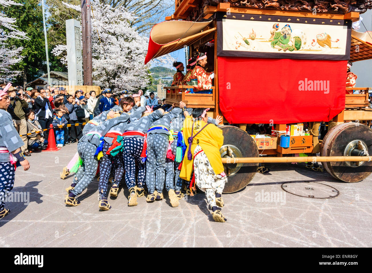 Ein Team von Männern, die sich bemühen, einen massiven Dashi, Yama, Holzwagen zu schieben, umgeben von Massen von Touristen, die das Frühlingsfest von Inuyama beobachten Stockfoto