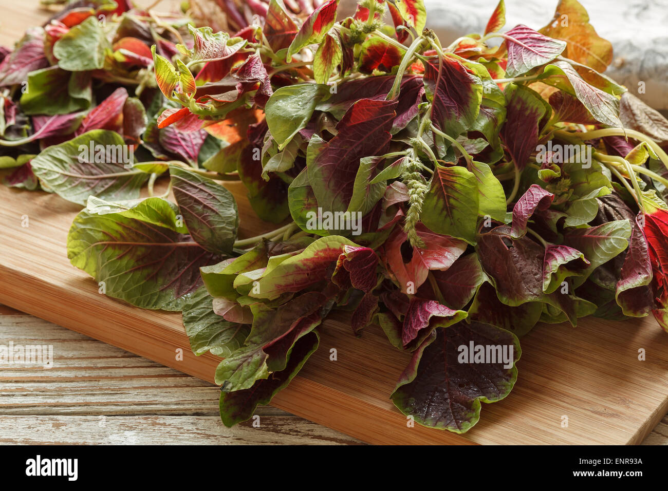 Amaranth Spinat rot Bio Kochen Salat aus frischem Gemüse Stockfoto