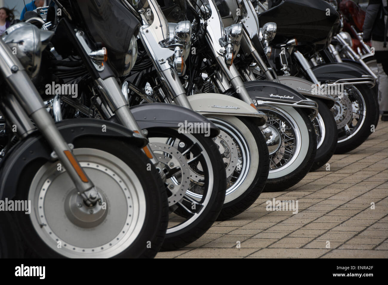 white mountain harley davidson
