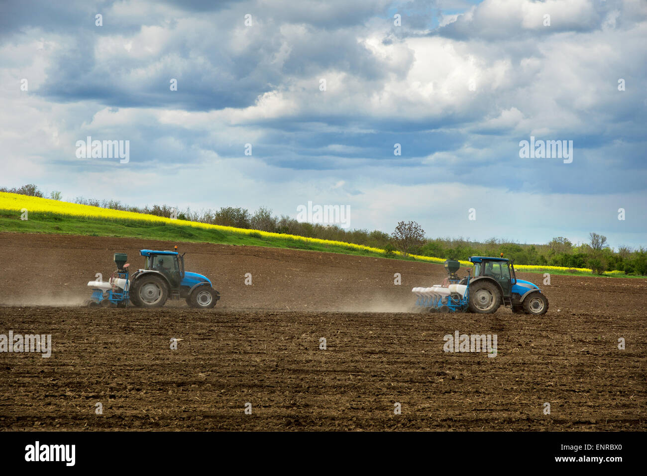 Ein Feld mit einem Traktoren Landwirtschaft Stockfoto