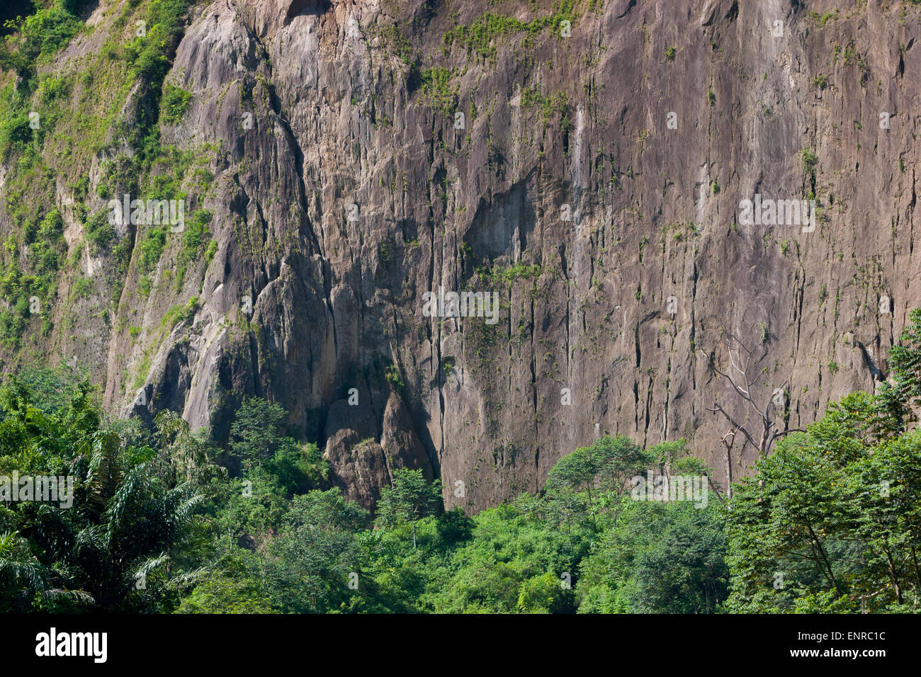 Eine große Felswand im Ngarai Sianok Tal in Bukittinggi, West Sumatra, Indonesien. Stockfoto