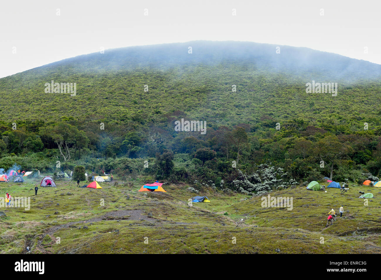 Mount Gede Kuppel Gipfel von Suryakencana Tal, Gede-Pangrango Nationalpark, Indonesien gesehen. Stockfoto