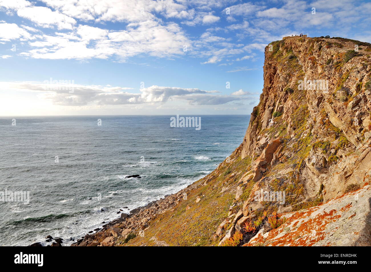Felsen am Meer (Portugal) Stockfoto