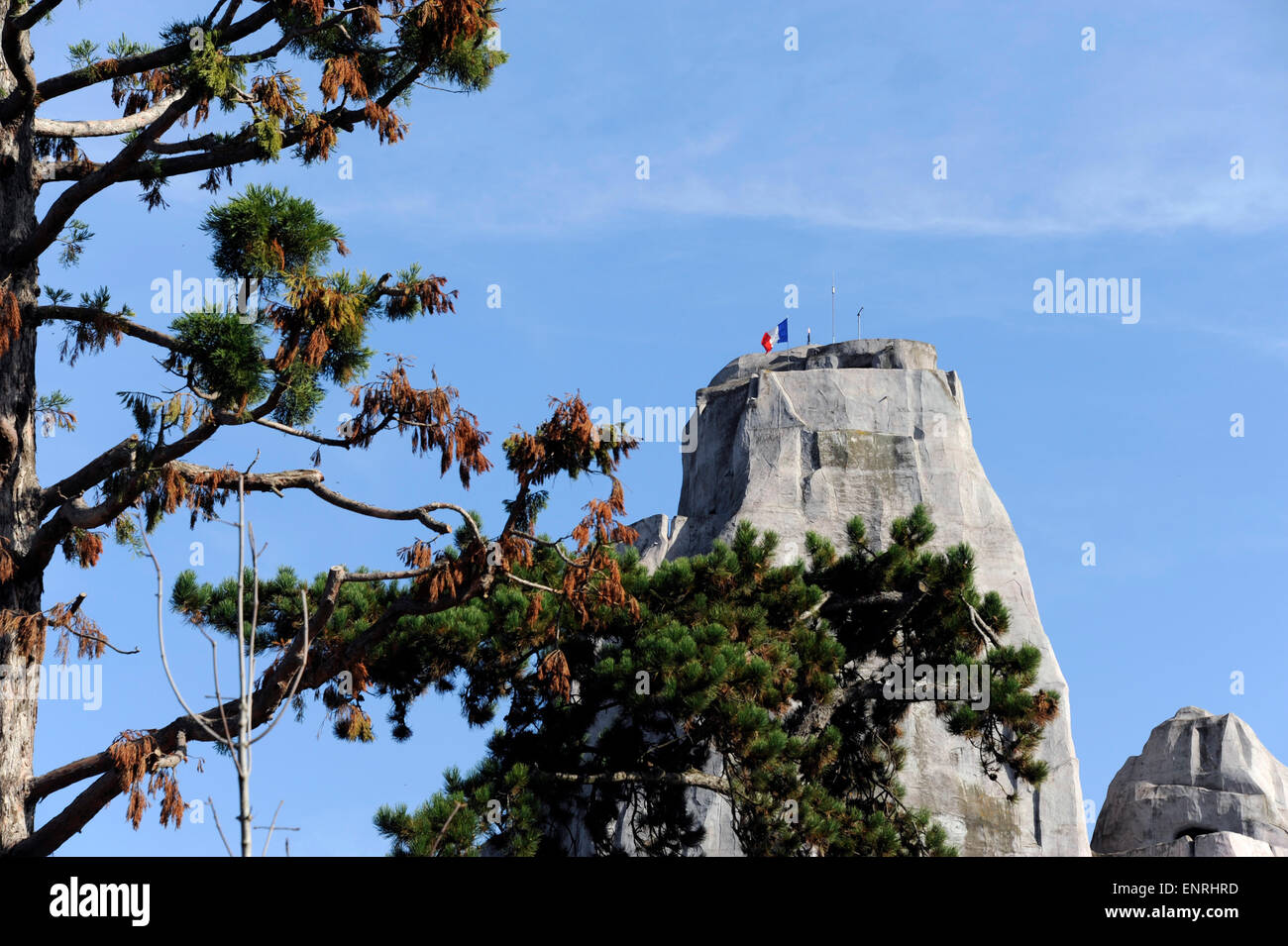 Grosses Gewächs, Zoo de Vincennes, Zoologischer Park von Paris, Frankreich Stockfoto