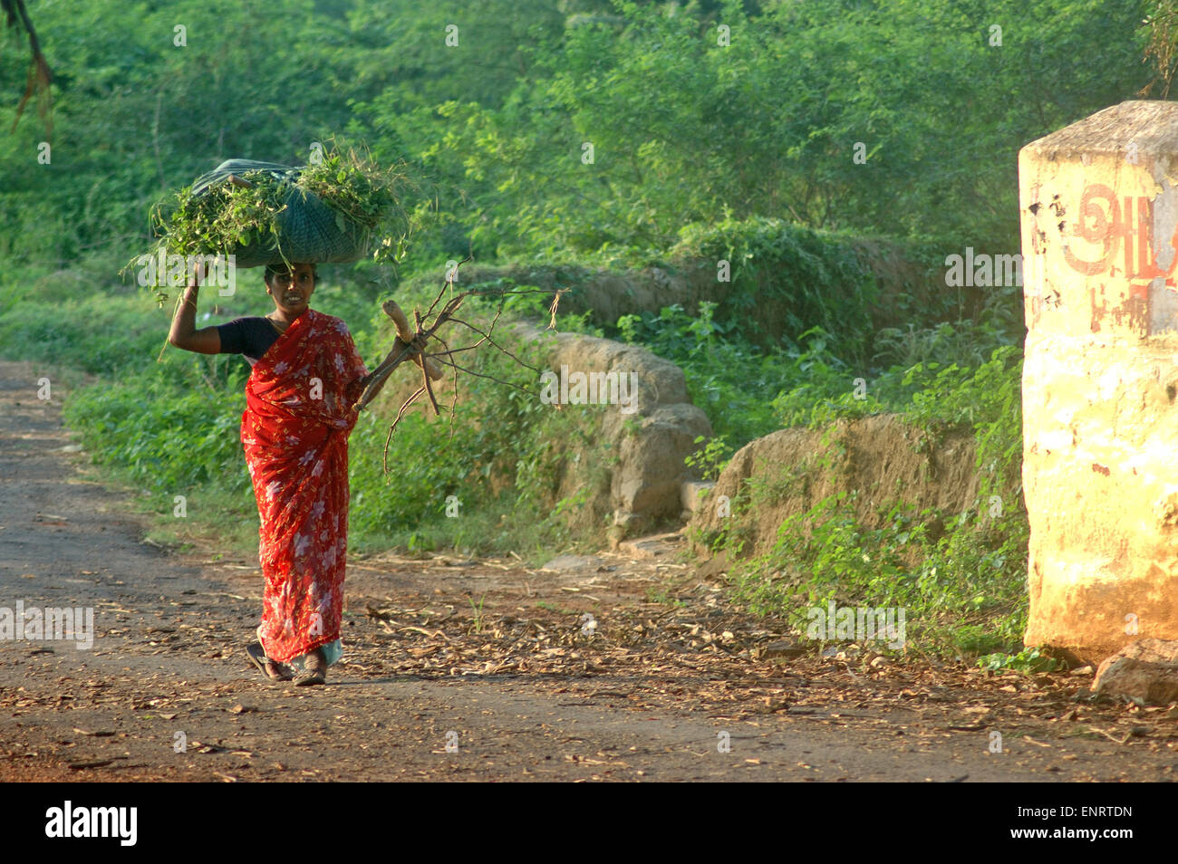 TAMIL NADU, Indien, circa 2009: unbekannte Frau, die die Last des Grases und Brennholz ca. 2009 in Tamil Nadu, Indien. Stockfoto