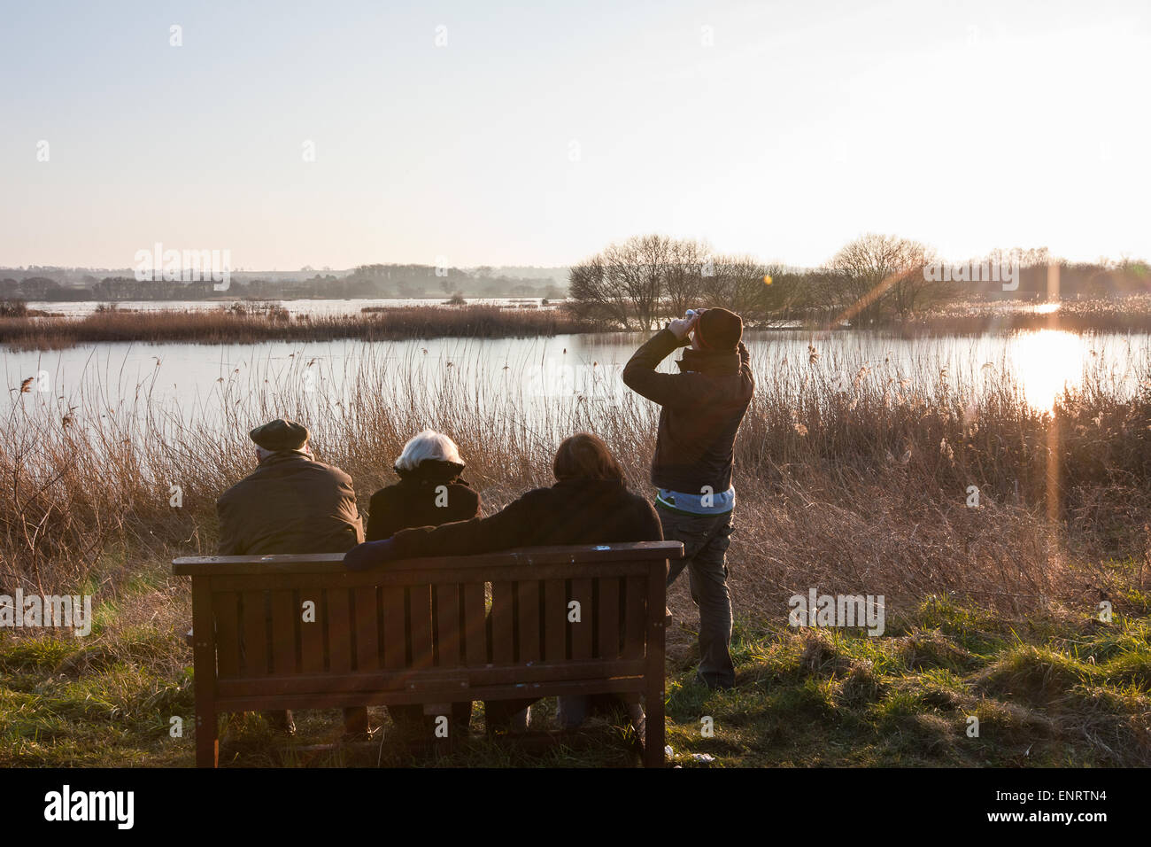 Vogelbeobachter bei Sonnenuntergang am Shapwick Heath, einer Wetland Reserve von The Avalon Sümpfe der Somerset Levels in der Nähe von Glastonbury, Somerset, England. Beliebter Ort für Bett-Beobachter sehen die Versammlung der Vögel, vor allem Stare wieder in ihre Quartiere, bekannt als Murmurations, die in den Wintermonaten mit der Somerset Feuchtgebiete zieht die größten Veranstaltungen des Landes auftreten. Hier im Februar. Stockfoto