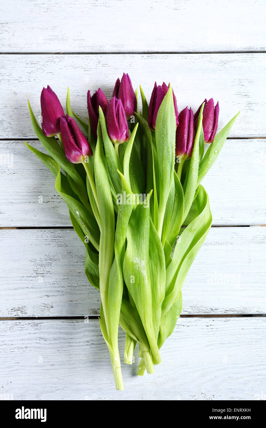 Strauß Tulpen auf Whiteboards, Blumen Stockfoto