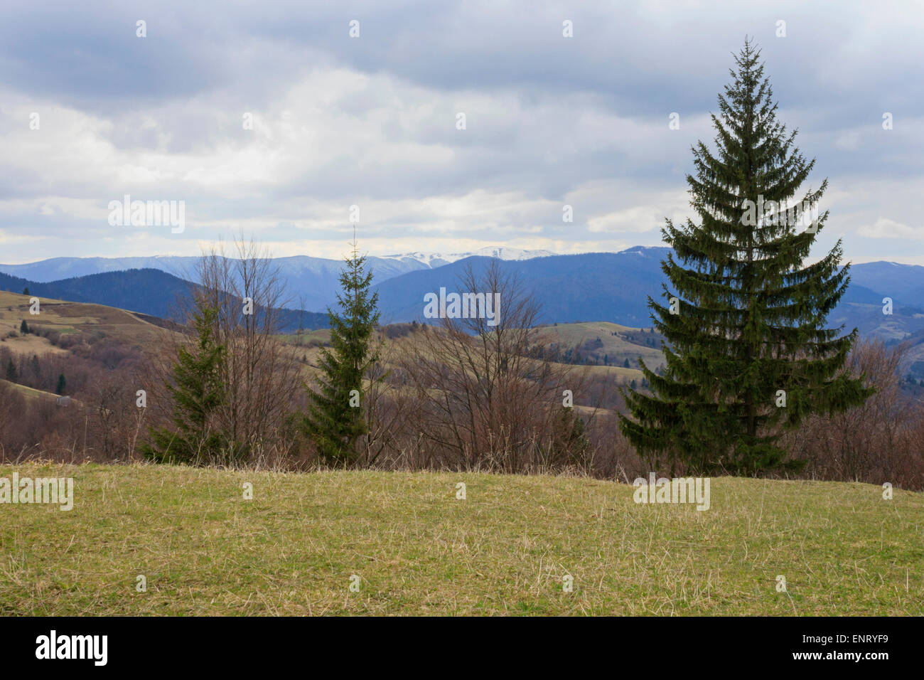Landschaft mit Karpaten im Frühling Stockfoto