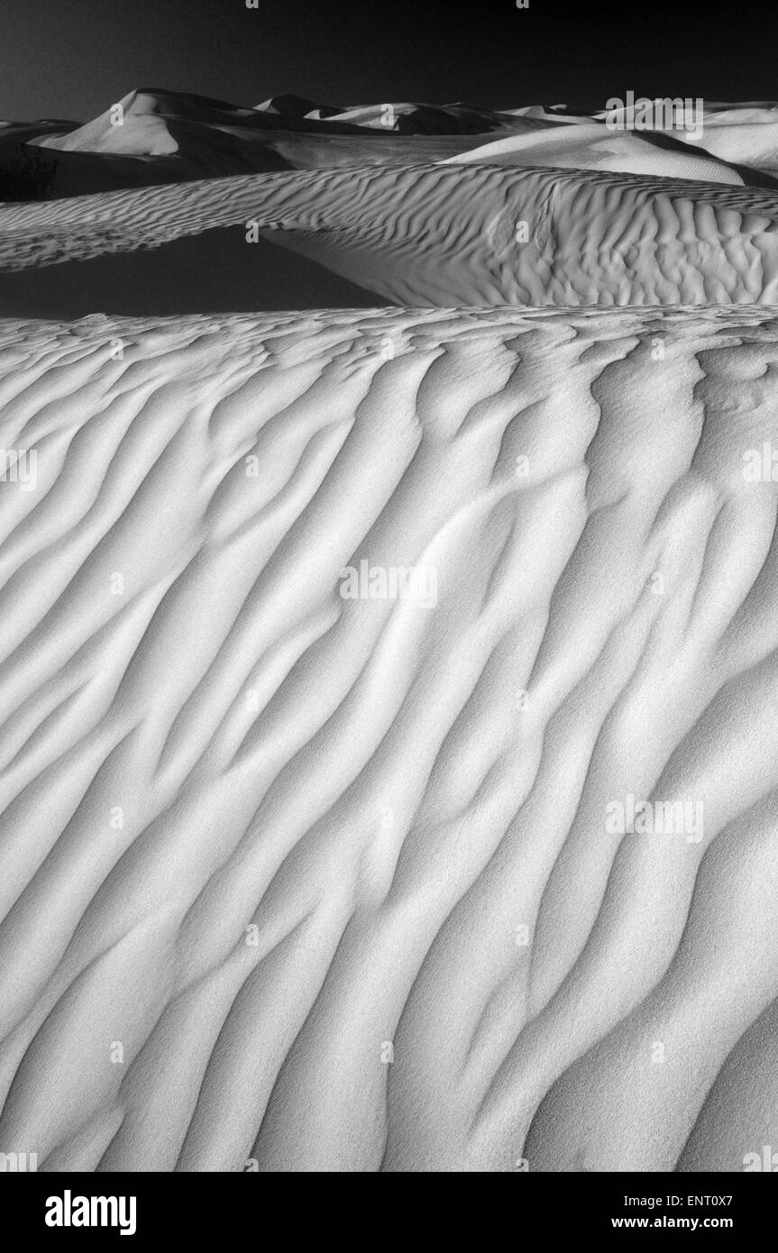 Weiße Sanddünen, geformt von Wind in der Nähe von der Küste des Indischen Ozeans, Nambung National Park, Western Australia (B&W) Stockfoto