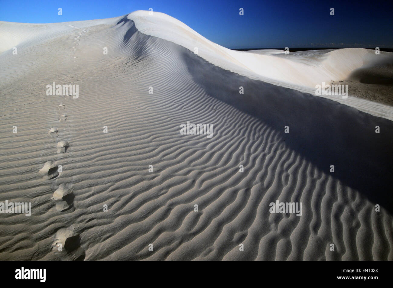Fußabdrücke im Vorfeld Wind geformten Sanddüne, Nambung National Park, Western Australia Stockfoto
