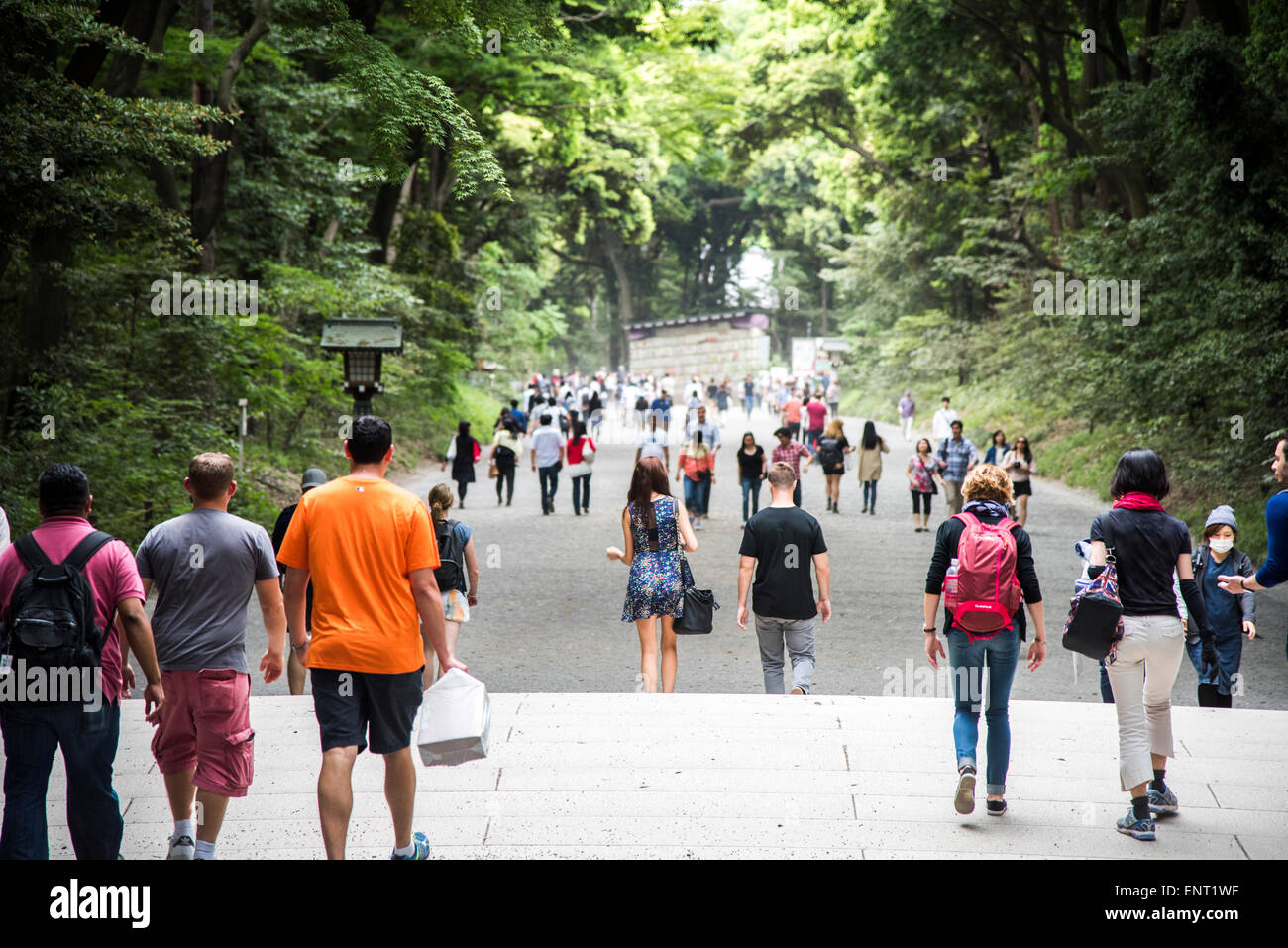 Meiji-Jingu Schrein, Shibuya-Ku, Tokyo, Japan Stockfoto