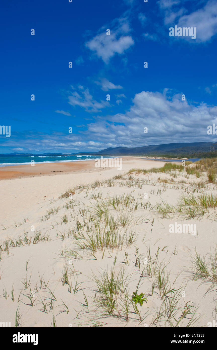 Strand an der Ostküste Tasmaniens Stockfoto