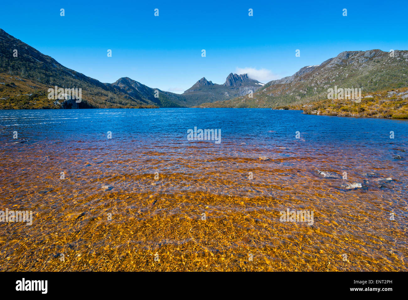 Dove Lake und Cradle Mountain, Tasmanien Stockfoto