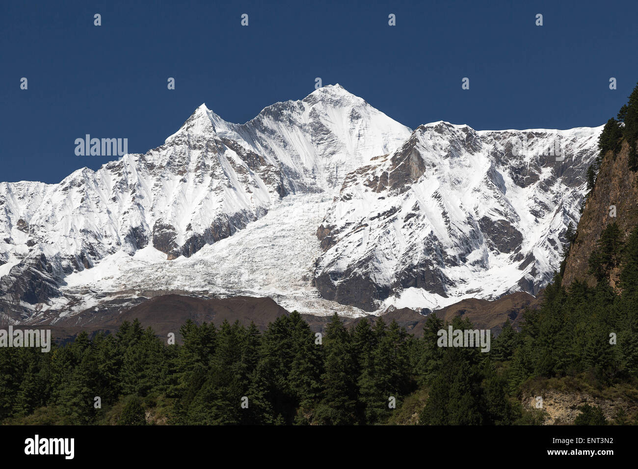 Dhaulagiri-Gipfel von Annapurna Circuit, Nepal Stockfoto