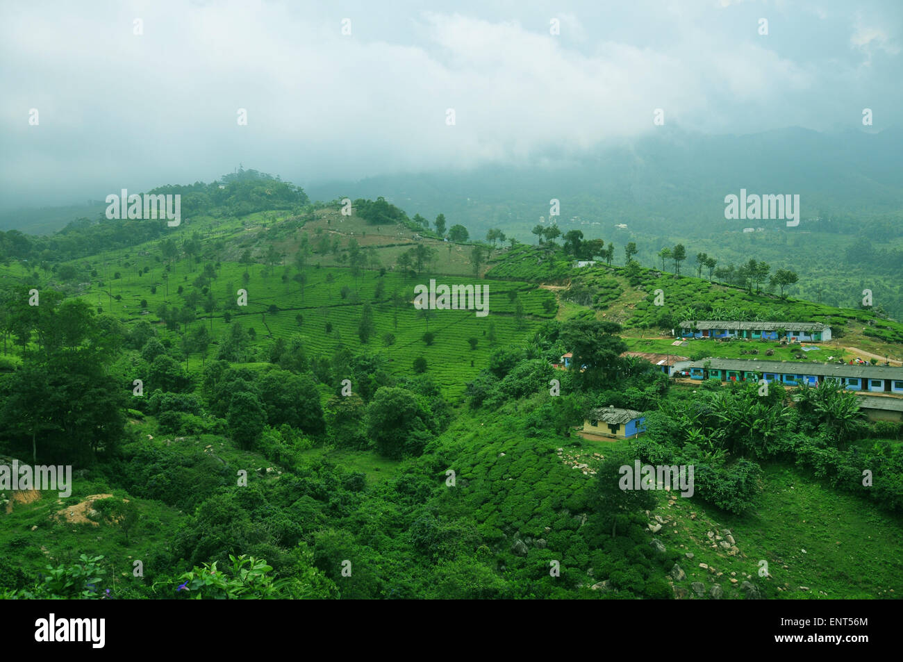 Munnar Stockfoto