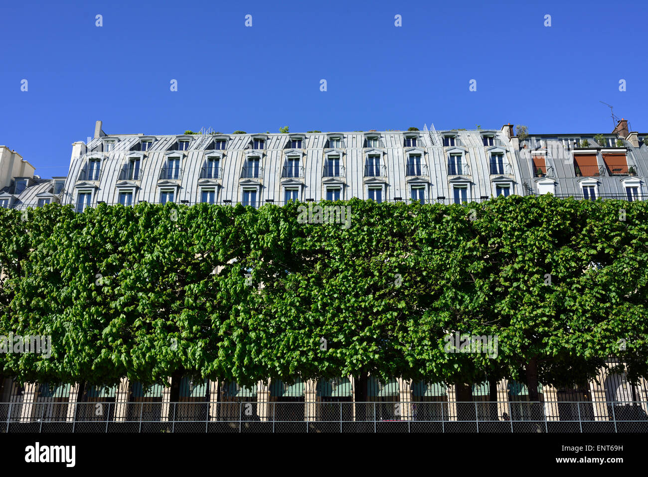 Jardin des Tuileries, Rue de Rivoli, 1. Arrondissement, Paris, Frankreich Stockfoto