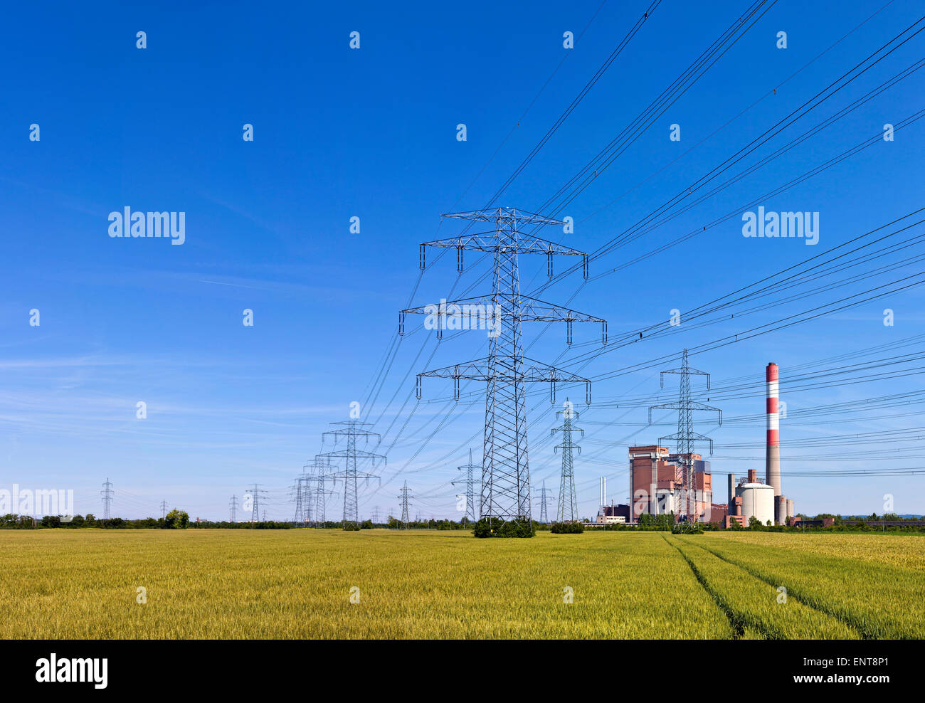 Strommasten mit einer Station in der Mitte einen landwirtschaftlichen Bereich - track im Feld in Richtung. Stockfoto