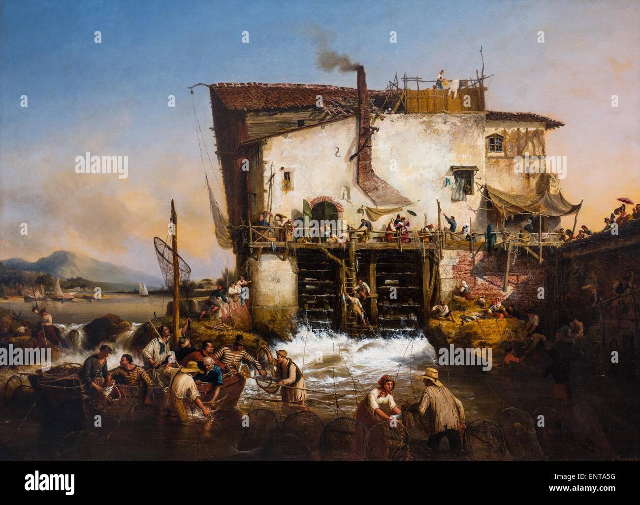 Den Fang von Alosas 25.10.2013 - Sammlung des 19. Jahrhunderts Stockfoto