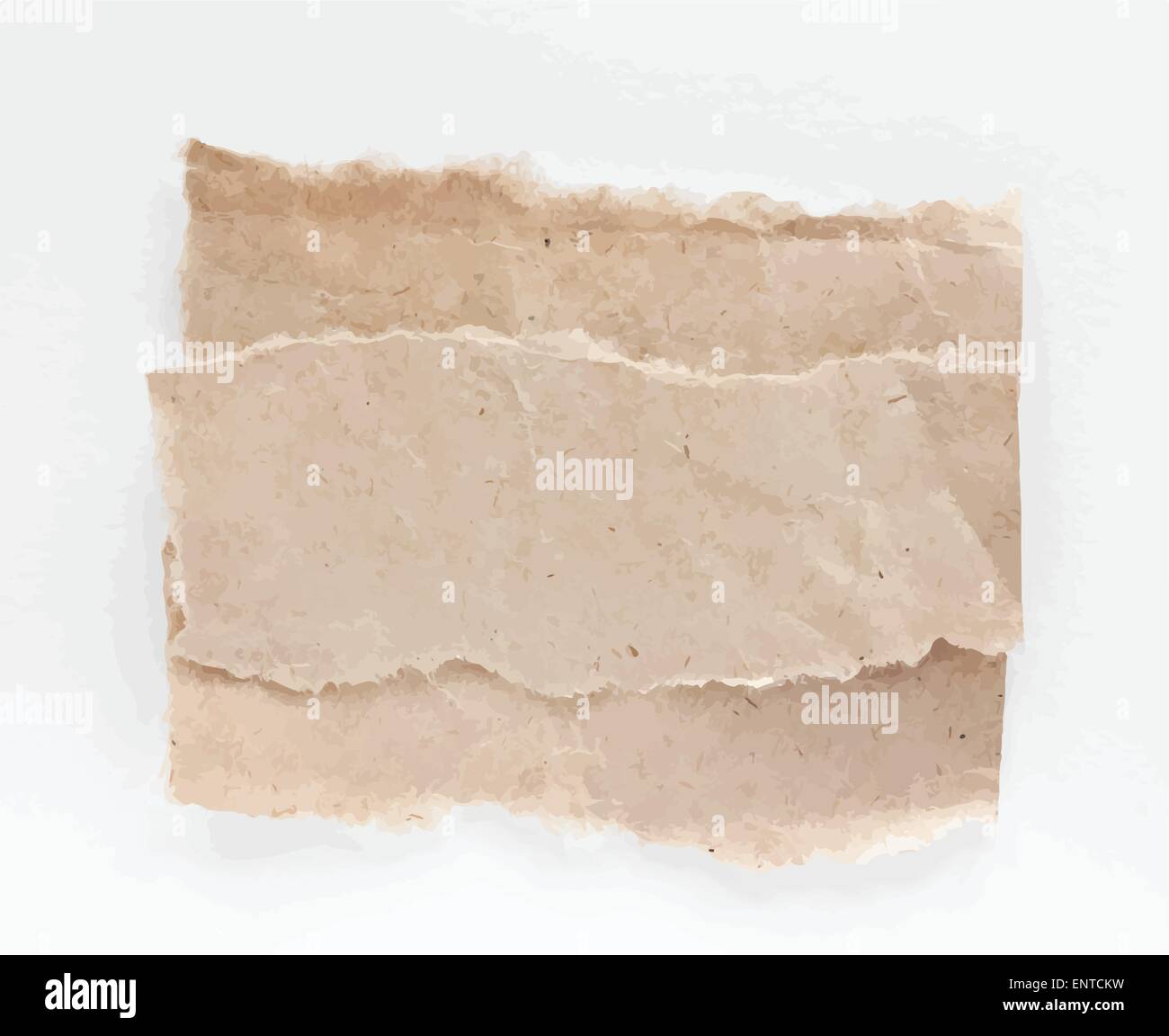 Torned Vektor braun Hinweis Papiere auf weißem Hintergrund Stock Vektor