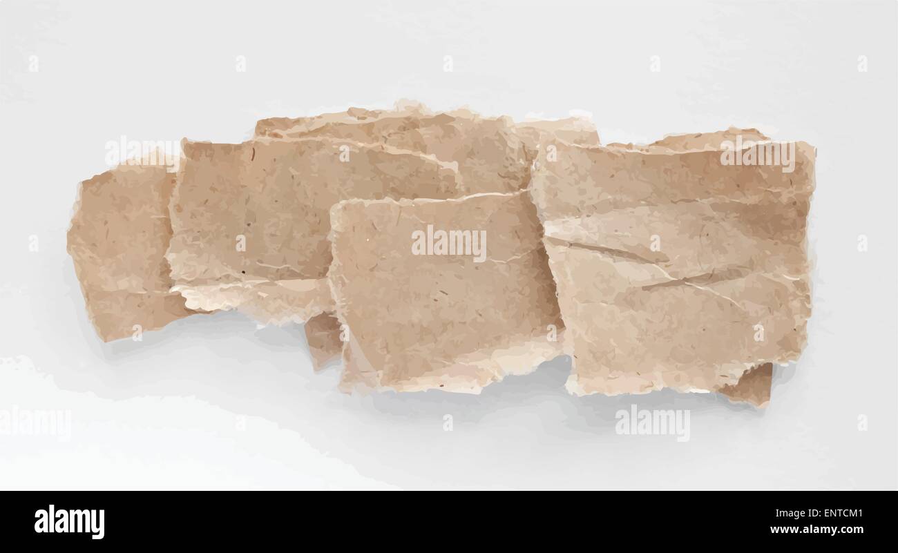 Torned Vektor braun Hinweis Papiere auf weißem Hintergrund Stock Vektor