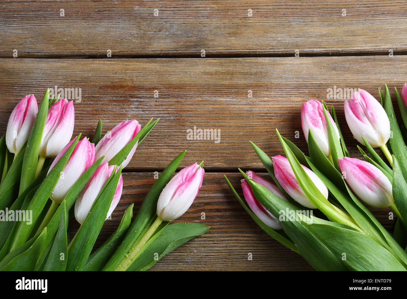 Bouquet von rosa Tulpen auf Brettern, Blumen Stockfoto