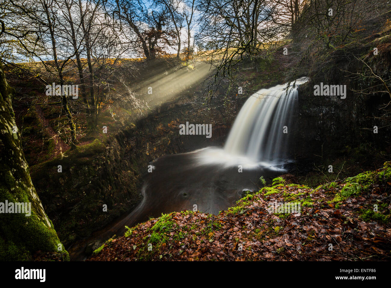 Dalcairney Wasserfall, Ayrshire, Schottland, UK Stockfoto