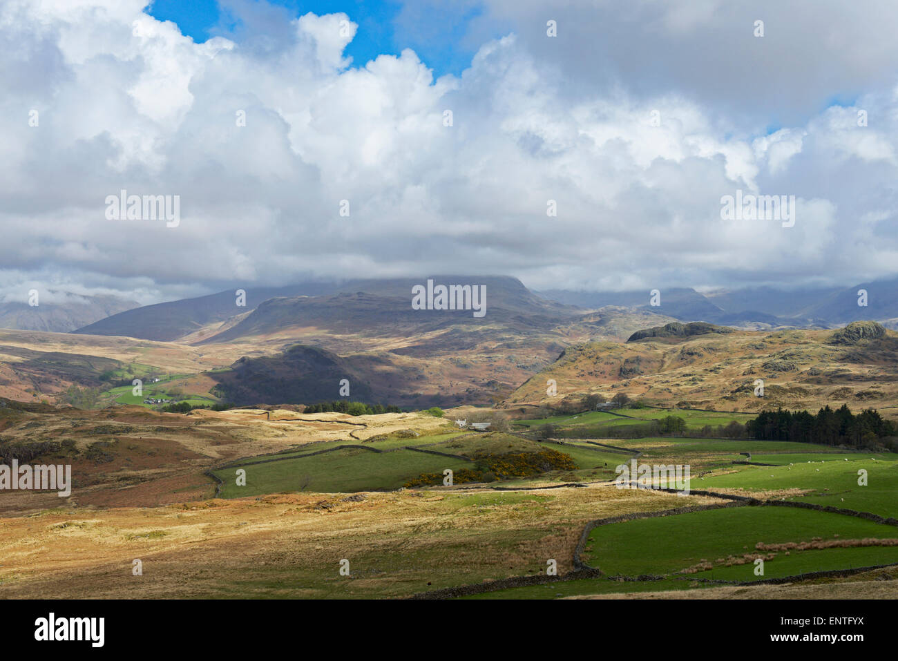 Ansicht der Lakeland Hügel von Birker fiel, Nationalpark Lake District, Cumbria, England UK Stockfoto