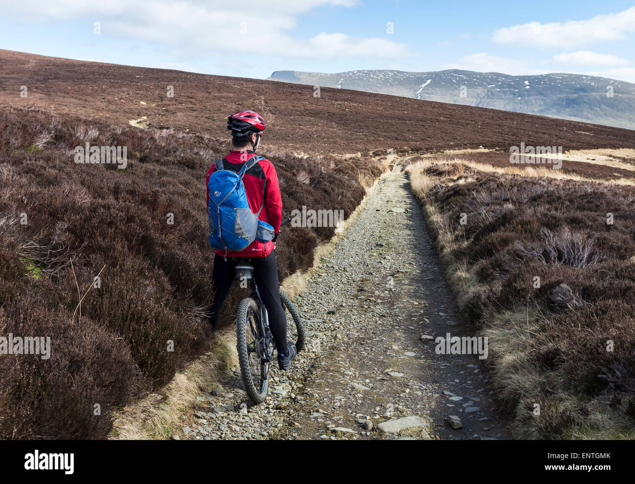 Mountainbiker genießen den Blick entlang der Cumbria Weg Maultierweg auf dem Weg zur Skiddaw Haus, Lake District, Cumbria UK Stockfoto