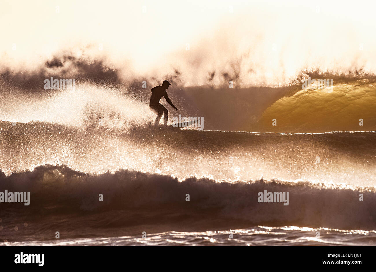 Surfer in schweren Brandung in der Abenddämmerung Stockfoto