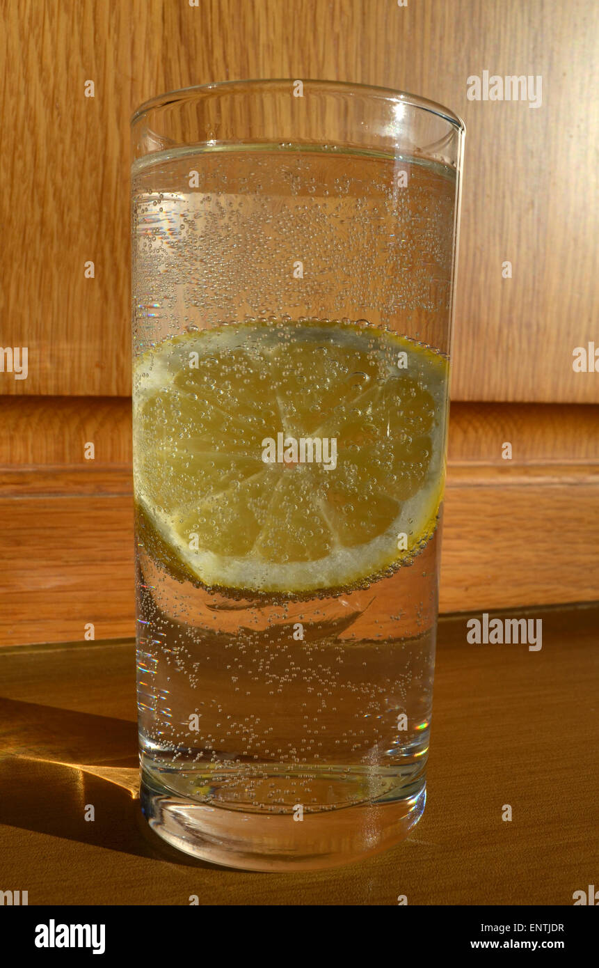 Gin & Tonic in ein hohes Glas Stockfoto