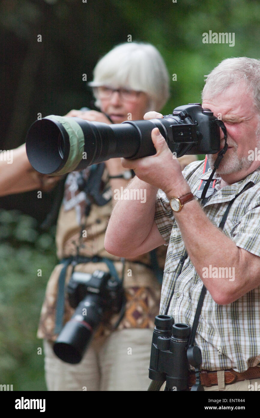 Öko-Tourismus Fotografen. Öko-Touristen mit Kameras aufzeichnen Sichtung der Vögel und andere Wildtiere. Ghana. West-Afrika. Stockfoto