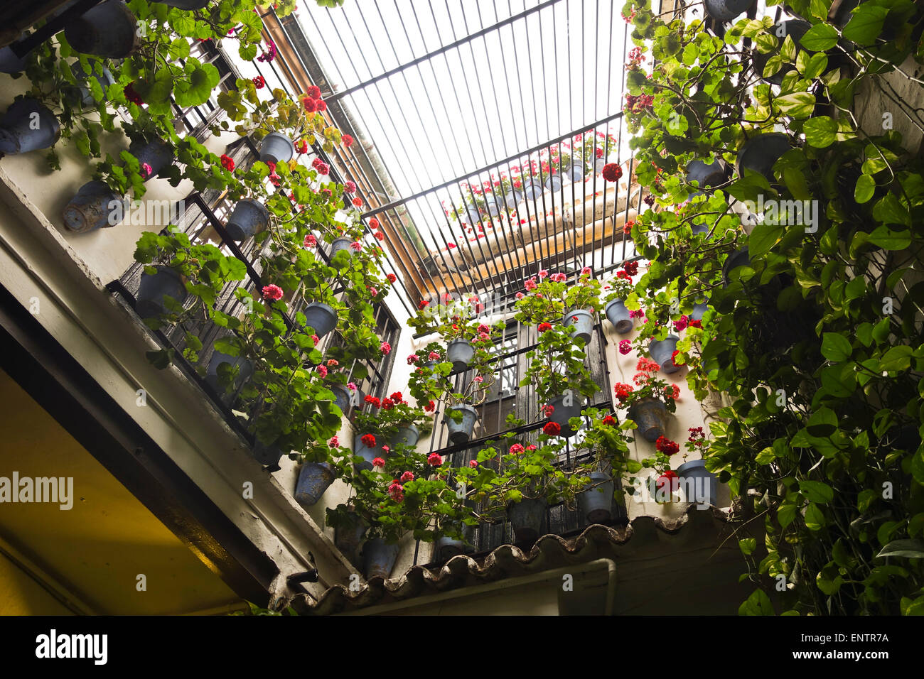 El Pimpi, Innenhof von Bodegas El Pimpi, Bar Restaurant, Malaga, Andalusien, Spanien. Stockfoto