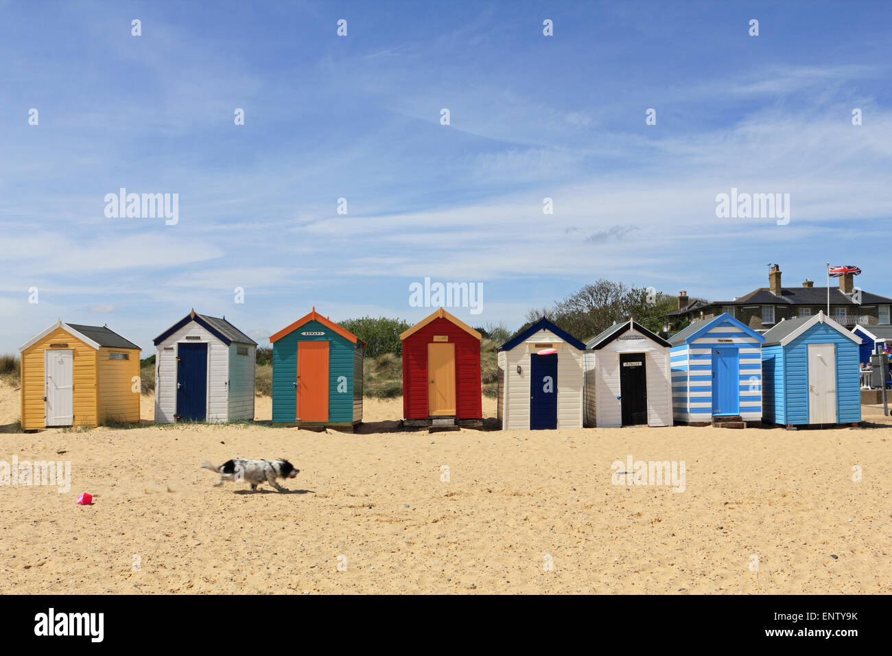 Southwold, Suffolk, England. 11. Mai 2015. Wetter: Besucher machten das Beste aus sonnigen Tag in Southwold in Suffolk, als ein Hund jagt ein Frisbee am Strand. Der beliebte Badeort an der Ostküste ist bekannt für farbenfrohe Strandhütten, Leuchtturm und Mole. Die unberührten Charme ist ein Anziehungspunkt für Familien, die einen traditionellen britischen Urlaub. Bildnachweis: Julia Gavin UK/Alamy Live-Nachrichten Stockfoto