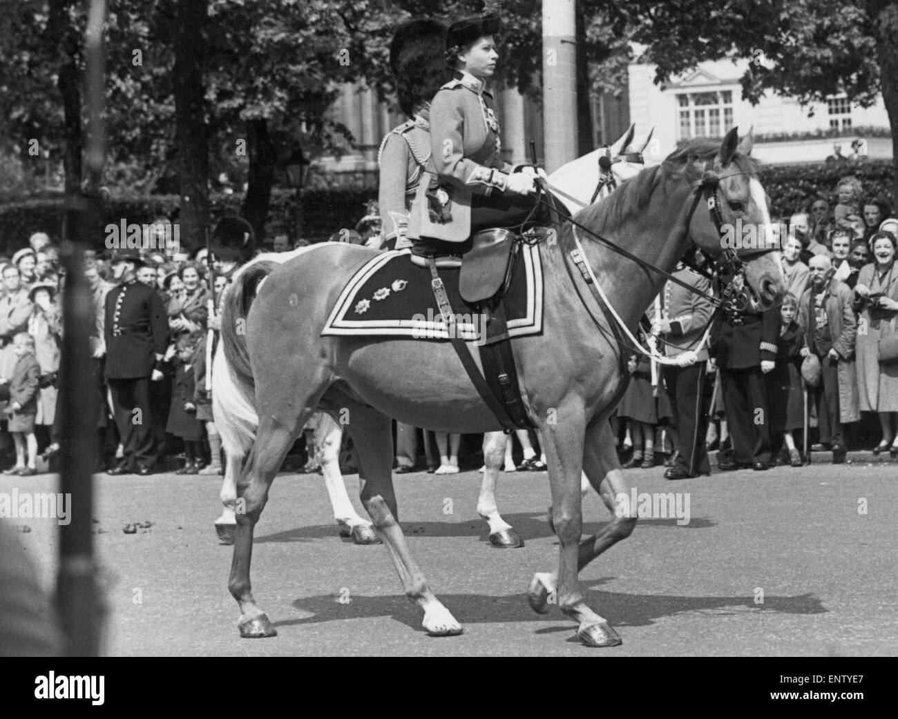 Die Königin Trooping The Colour auf 'Winston', die neun Mal das souveräne Pferd für diese Veranstaltung war. Februar 1957. Stockfoto
