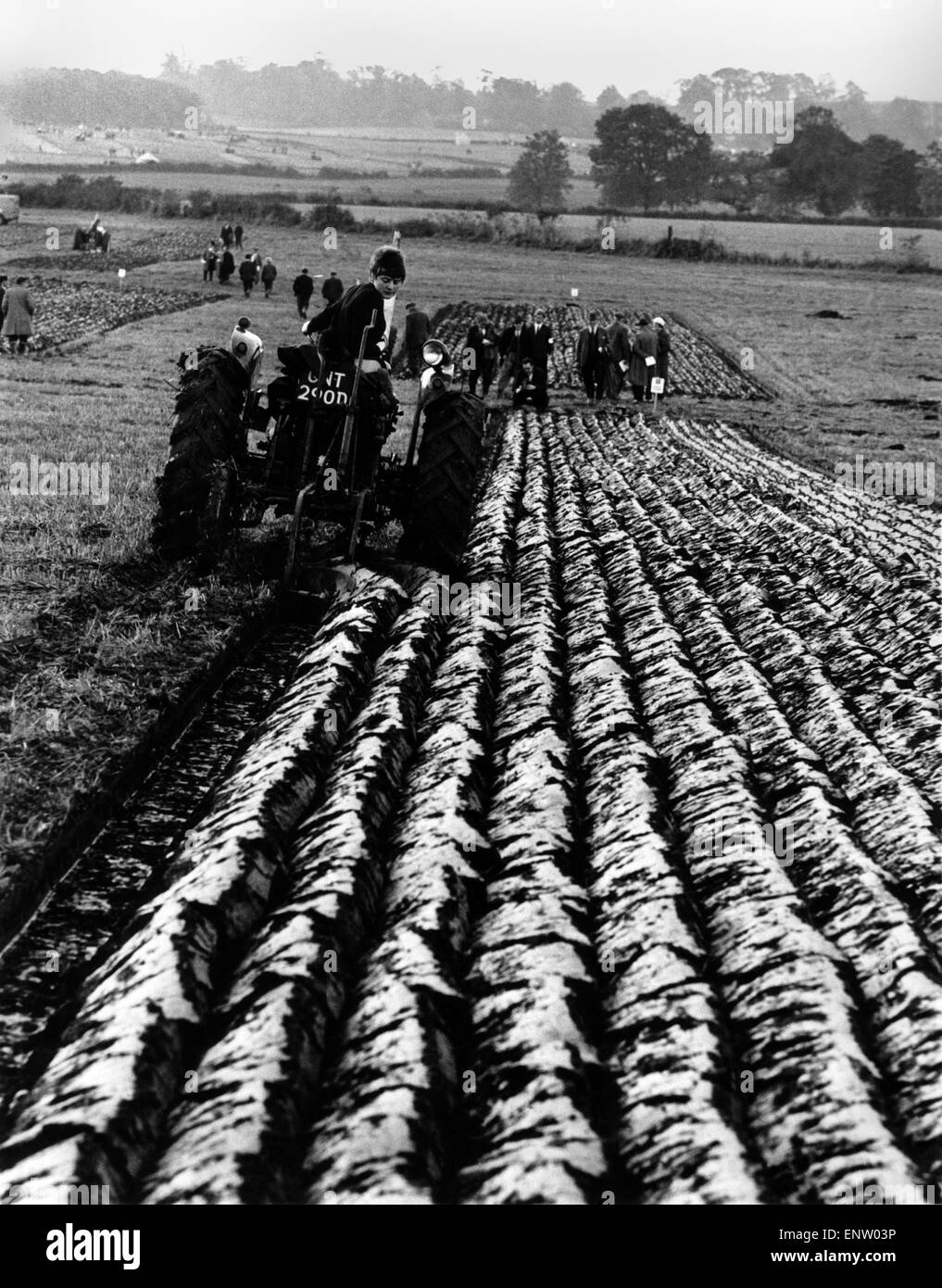 Eine Frau hat noch ein weiteres Feld der männlichen Vorherrschaft eingebrochen. Ein Acker. Es ist am Alderbury, in der Nähe von Shrewsbury, Szene der nationalen Pflügen Meisterschaften, wo 180 des Landes Top Ackermänner Kampfes für eine Chance, Großbritannien in die 16. Welt Pflügen vertreten in Jugoslawien der kommenden Saison austragen. 1. November 1968 Stockfoto