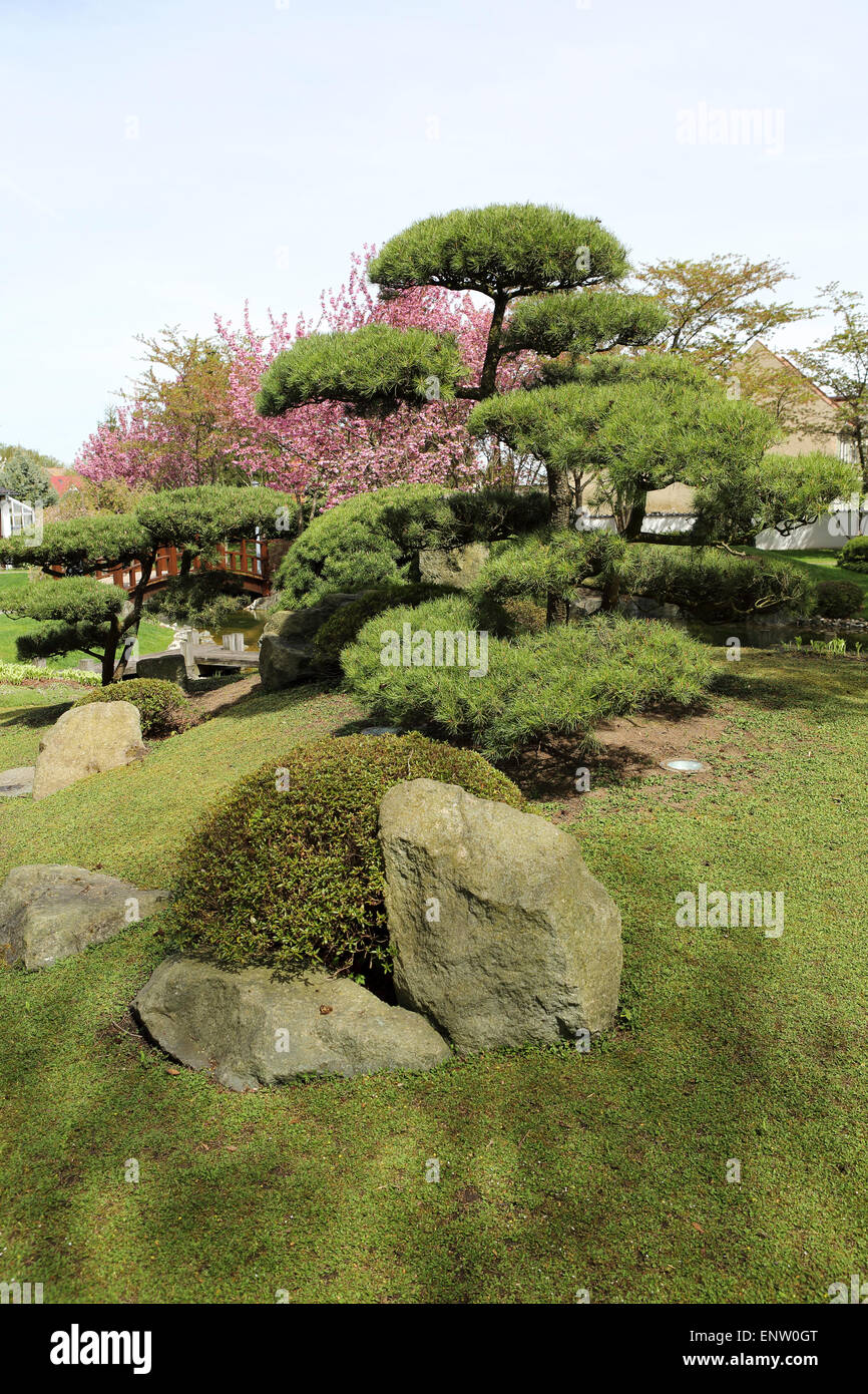 Felsen und japanischen Stil Gartenbau im japanischen Garten (Japanischer Garten) in Bad Langensalza, Deutschland. Stockfoto