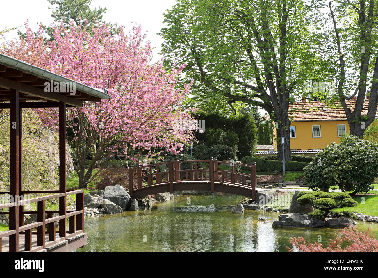 Eine Bogenbrücke von blühenden Kirschbäume Bäumen im japanischen ... Eine Bogenbrücke von blühenden Kirschbäume Bäumen im japanischen ...