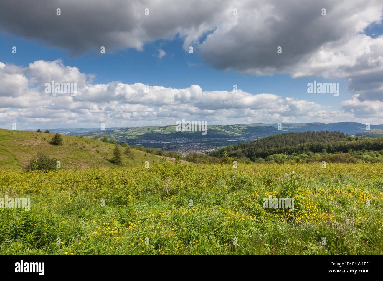 Die Ferne Stadt Caerphilly aus Caerphilly Mountain, Wales, UK Stockfoto