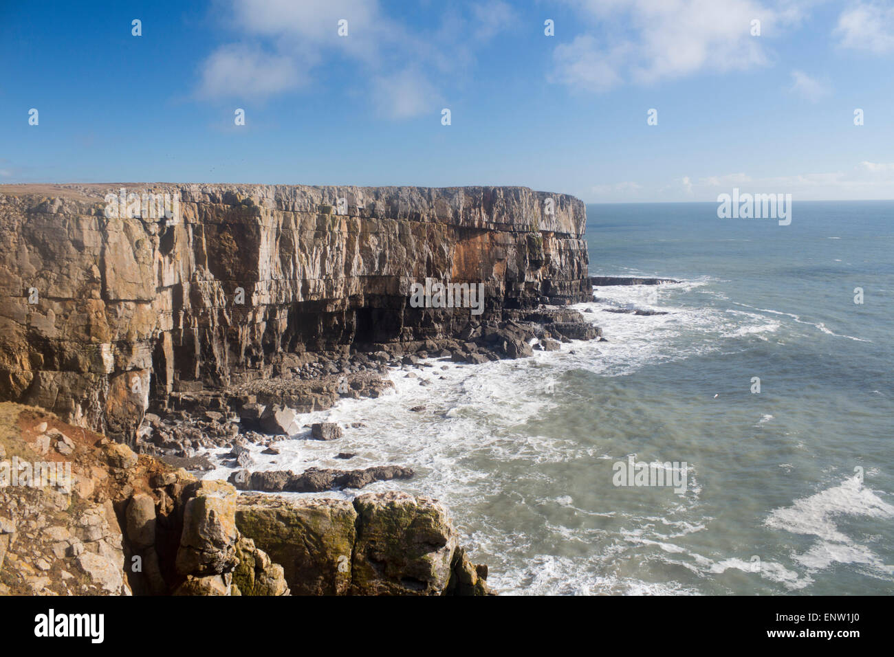 Stackpole Head Landzunge Klippen und Meer Pembrokeshire South West Wales UK Stockfoto