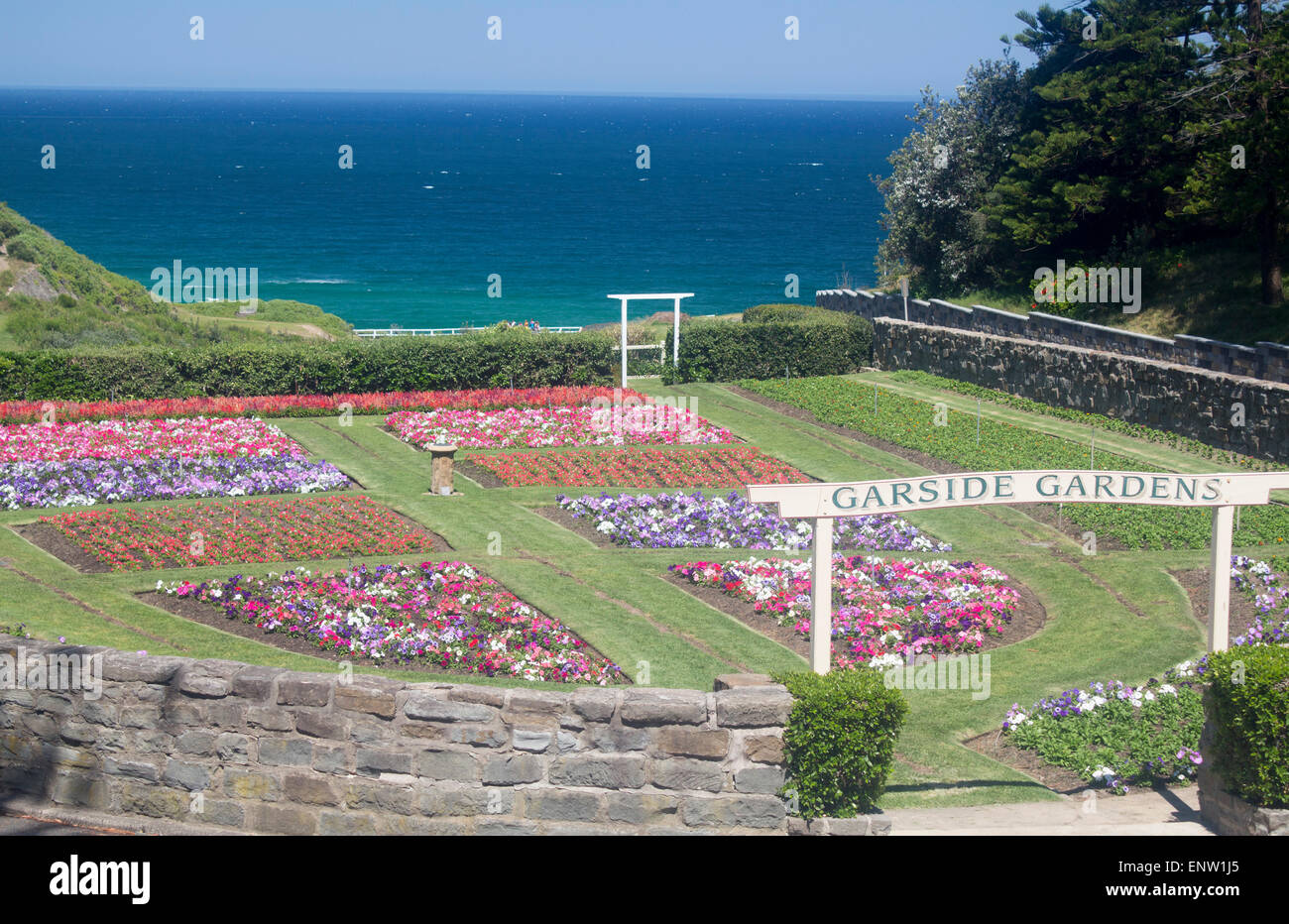 König Edward Park in Newcastle NSW Australia Garside Gärten und Tasmanische See / Pazifik Stockfoto